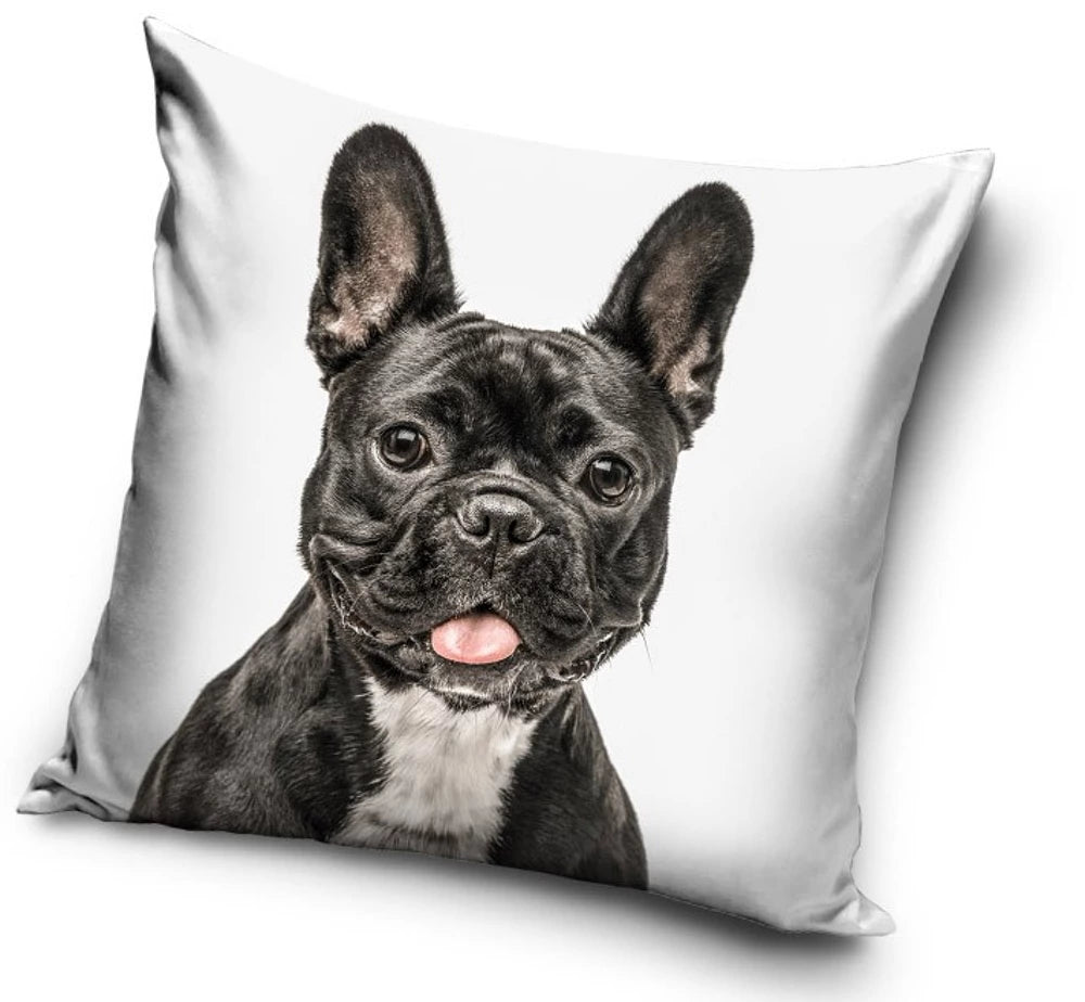 FEDERA CUSCINO THE DOG