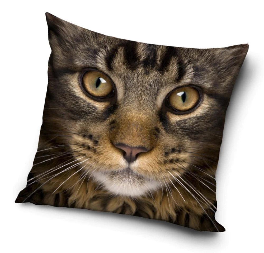FEDERA CUSCINO GATTONE
