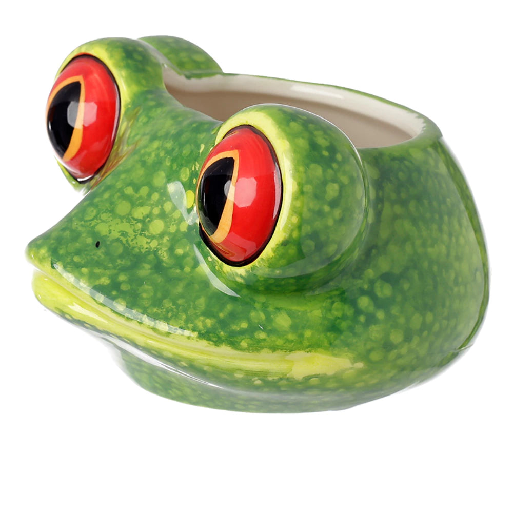 TAZZONA RANA 3D