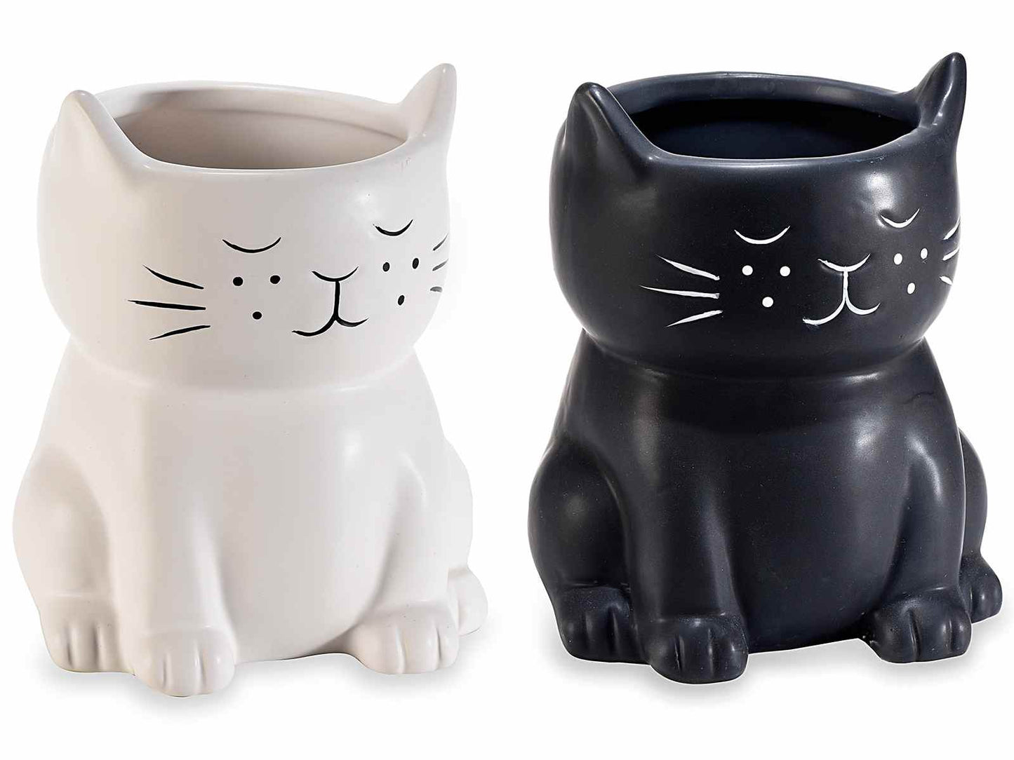 VASO GATTO