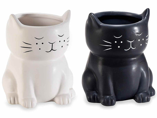 VASO GATTO