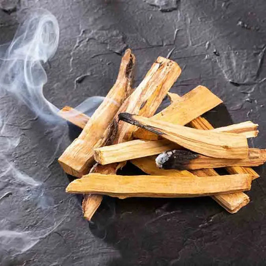 I BENEFICI DELL'NCENSO : IL PALO SANTO